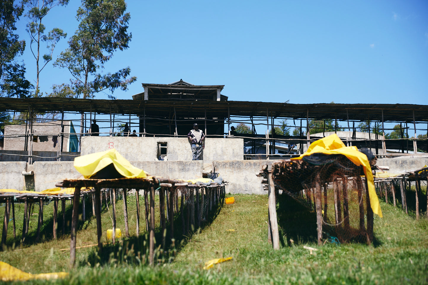 Ethiopia - Odakko Project - 1lb