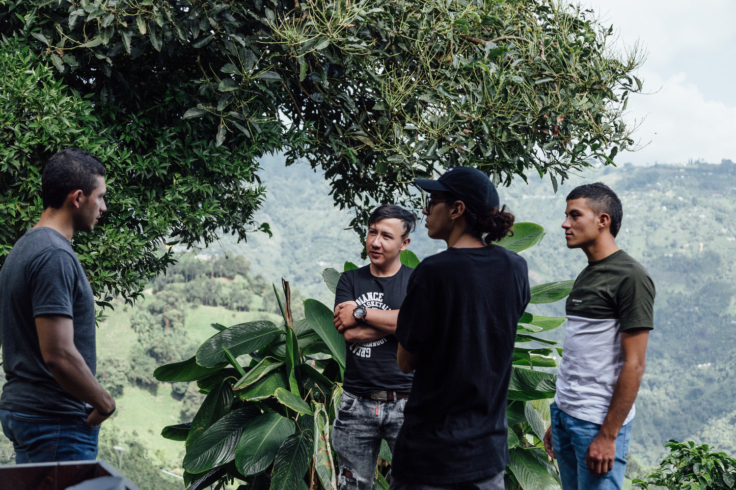 Colombia - Recruitment Lot - 1lb